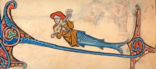 Citole en feuille de houx